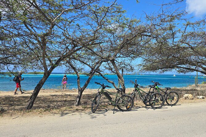 Private Spanish Lagoon EcoHeritage E-Bike Tour - Key highlights you’ll actually feel on the ride