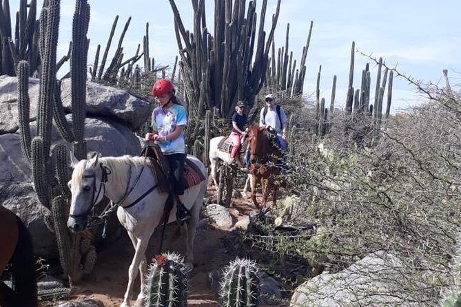 Private Sunset Horseback Ride - Pickup From Your Hotel or Port: Simple Start, Clear Expectations
