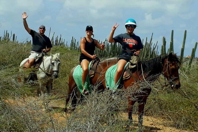 Sunset Horseback Ride in Aruba - Cozy Country Ranch Bar: What You Can Do After the Ride