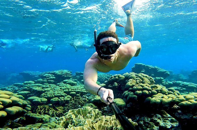 Tropical Dream Snorkel and Dinner Sail in Aruba - Antilla Shipwreck: Big-Scene Snorkel With Common-Sense Safety